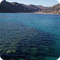 Bardawil Lake