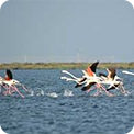 Zaranik protected area