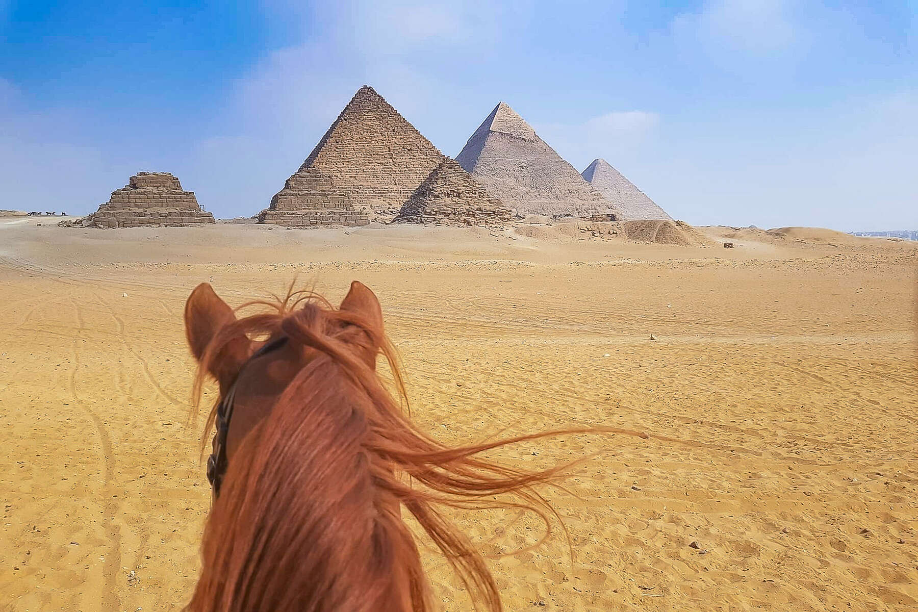 Horse riding trip in the pyramids of Giza 