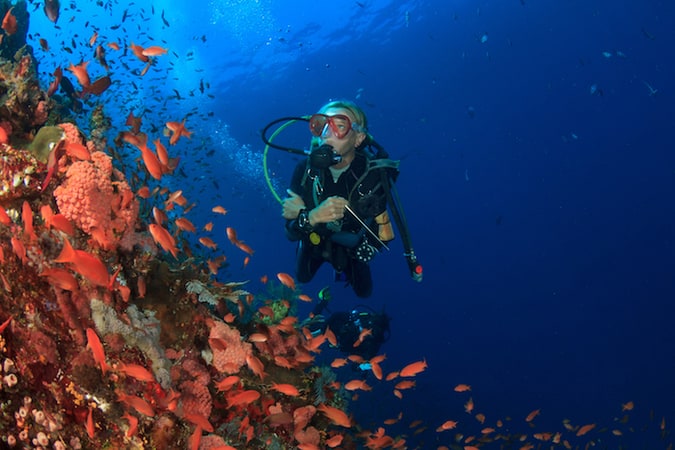 برنامج الغص المتقدم PADI