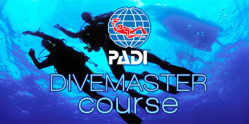 كورس احتراف تعليم الغوص (بادي- PADI)