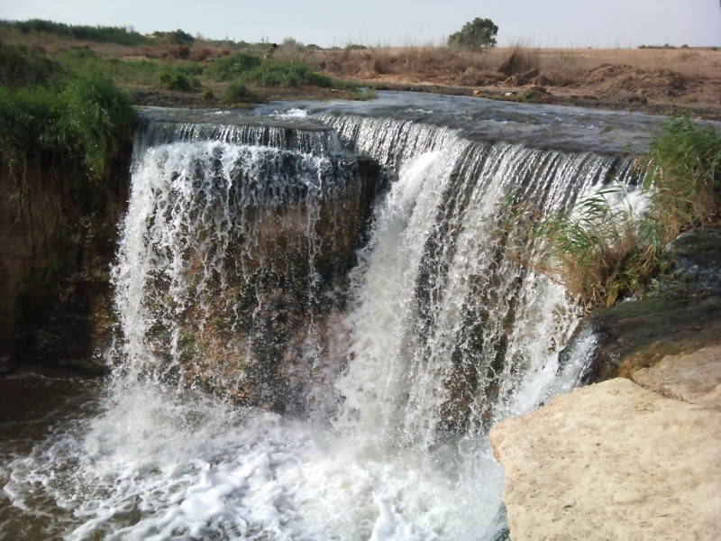 A pleasant trip to Wadi El-Rayan and Lake Qarun