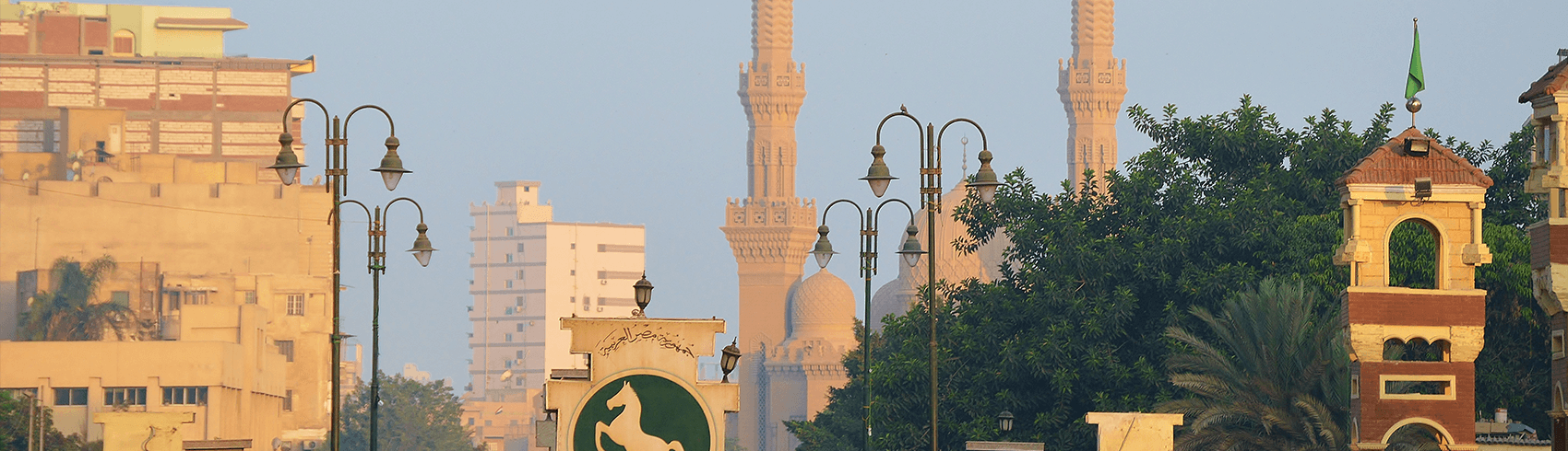 الأنشطة في محافظة الشرقية