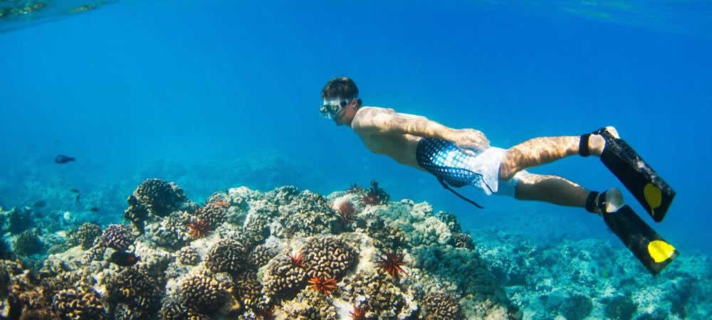 Diving Trip in The Arabian Sea With a Private Tour Guide