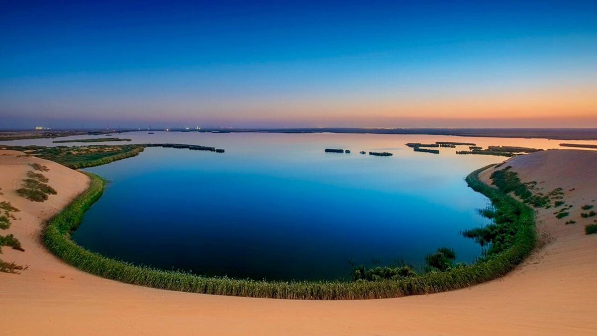 Safari Trip at Al-Asfar Lake in Al-Ahsa