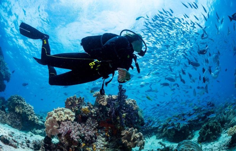 PADI IDC في الغردقة