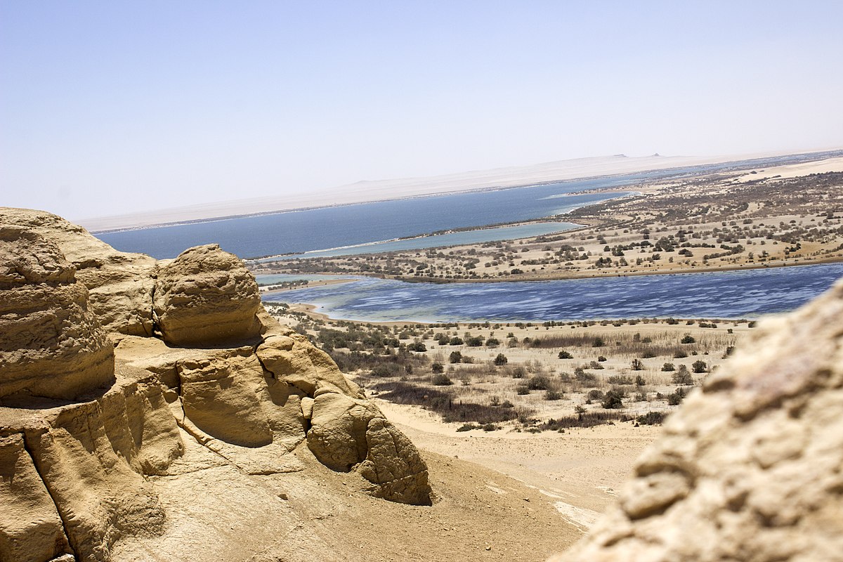رحلة محمية وادي الريان