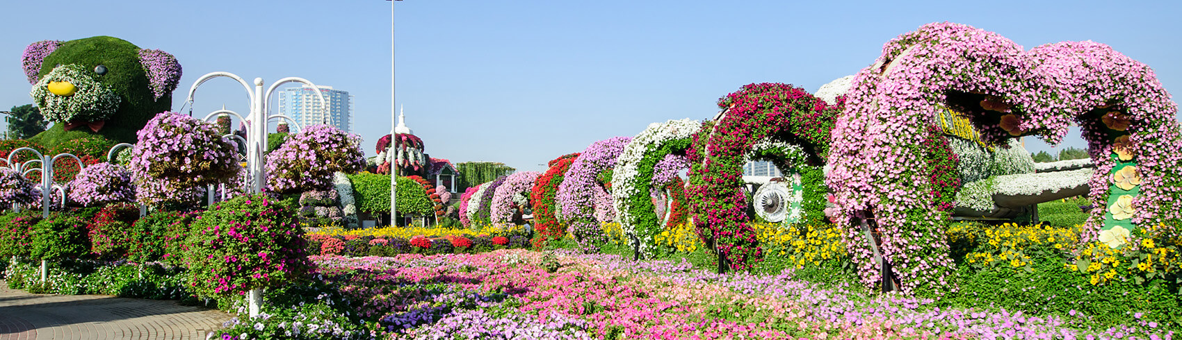 Dubai Miracle Garden Tickets