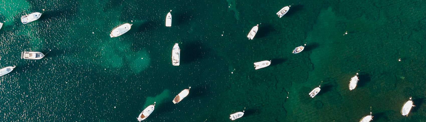 Eastern Province Boat Trips