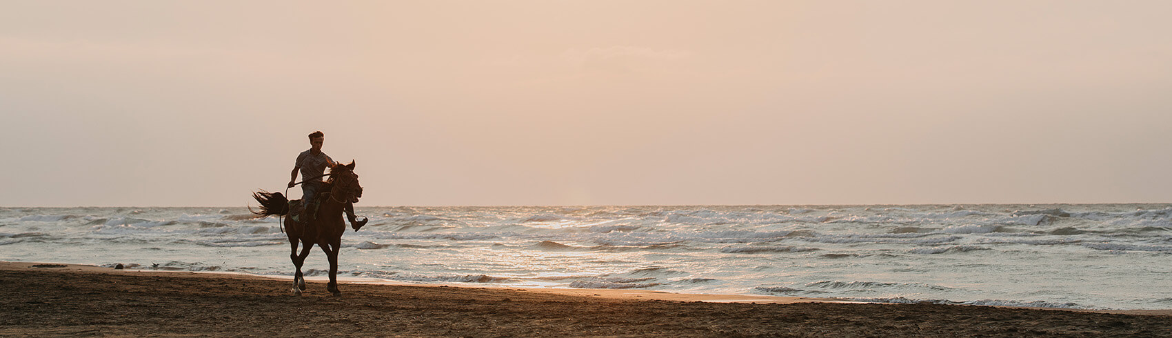 Horse Riding in Jeddah