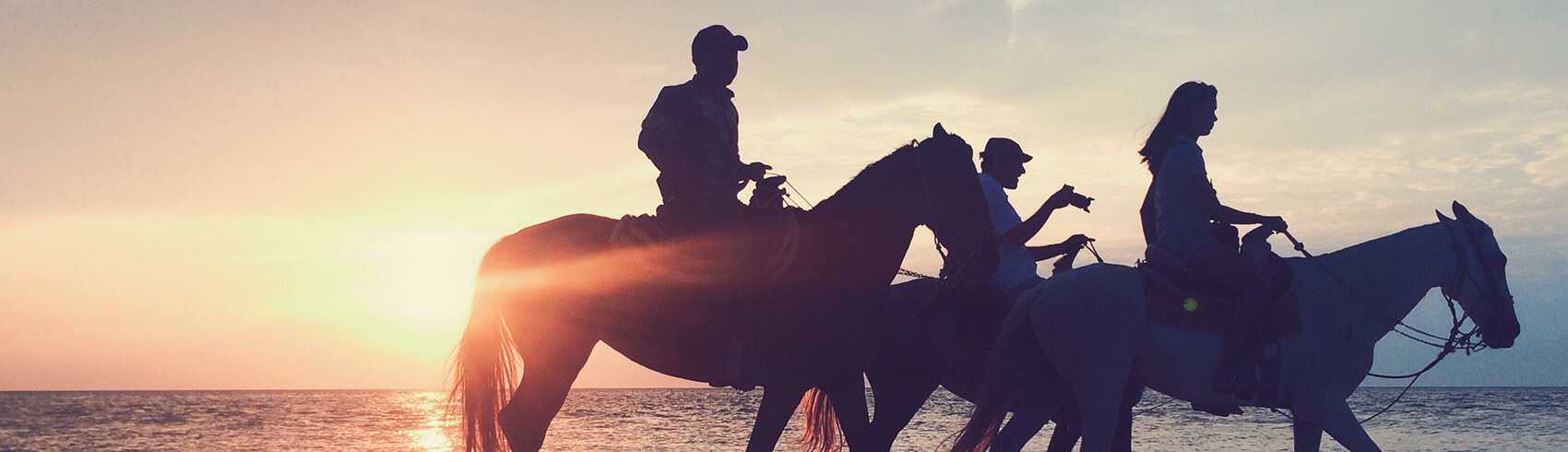 Horse Riding in King Abdullah Economic City