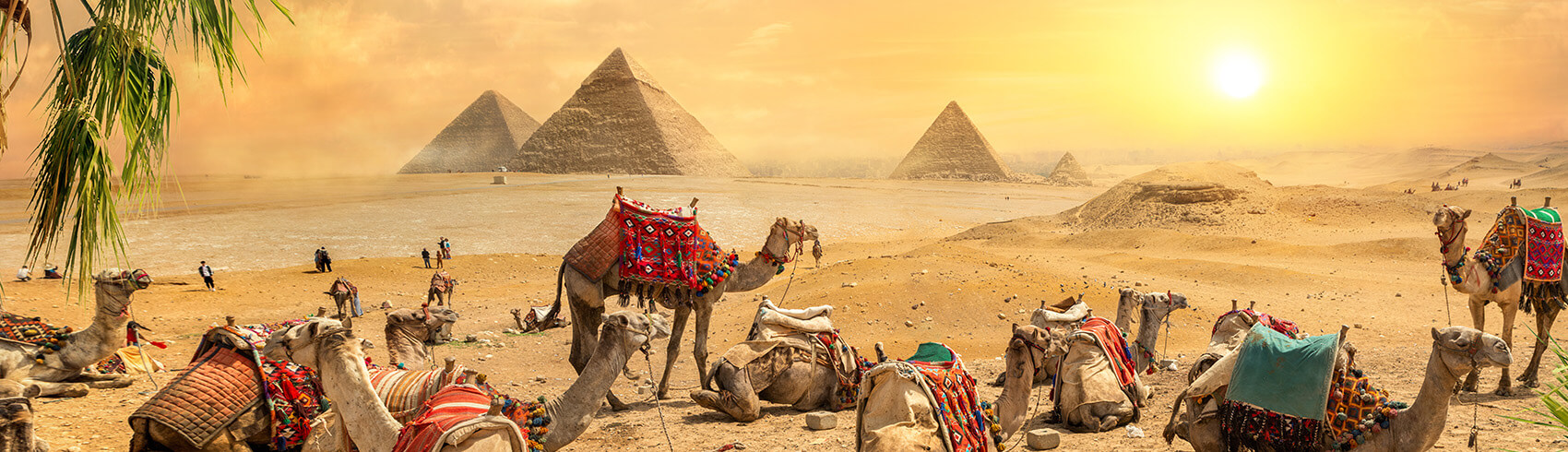 Day Trips in Cairo