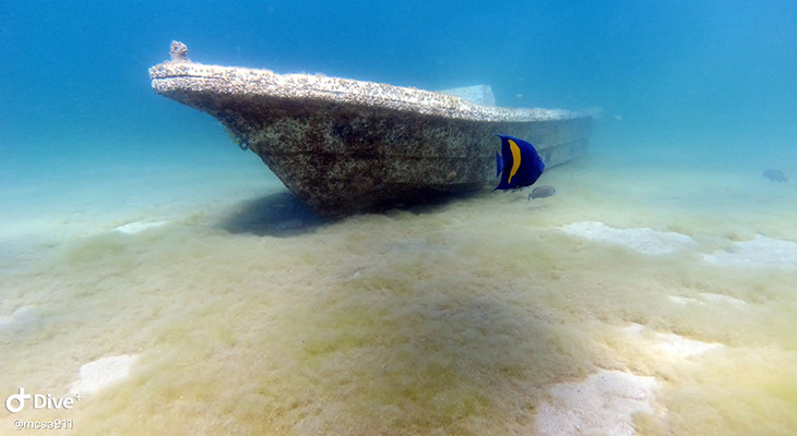 Enjoy diving the underwater museum in The Half Moon