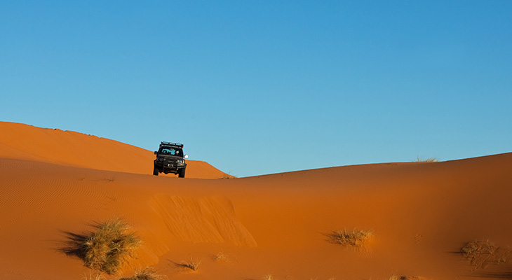 Safari tour & desert activities in Ras al Khaimah