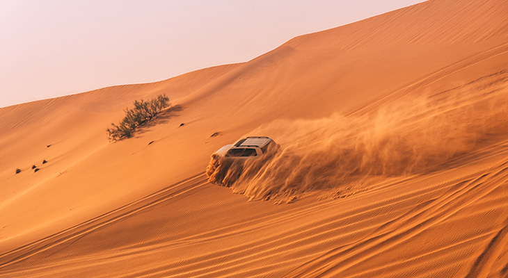 3 Hours Morning Desert safari for Only 135 AED