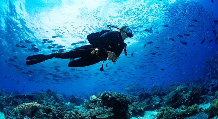تجربة رائعة في الغوص في دبا الفجيرة