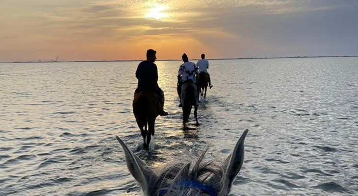 One Hour Of Horse Riding on The Beach in Dhahban 