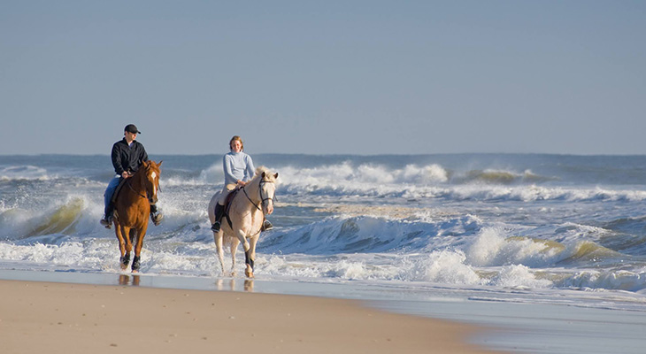 Camel or Horse Beach Ride in Oman