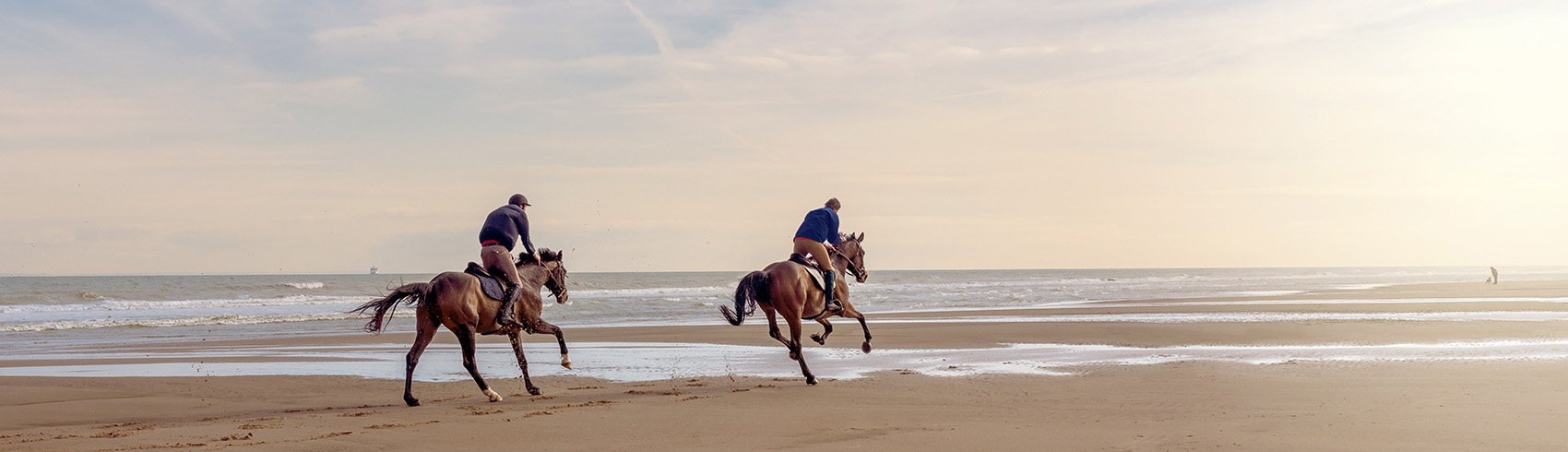 Horse Riding in Al Khobar