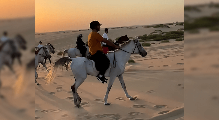 One Hour Horse Riding in Dammam with Professional Captains 