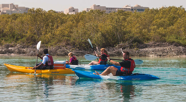 Abu Dhabi: Two hours Kayak Adventure in the Mangroves Park 