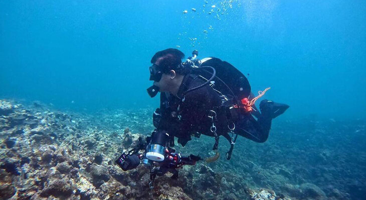 Bahrain: 5 hours Scuba Diving Experience