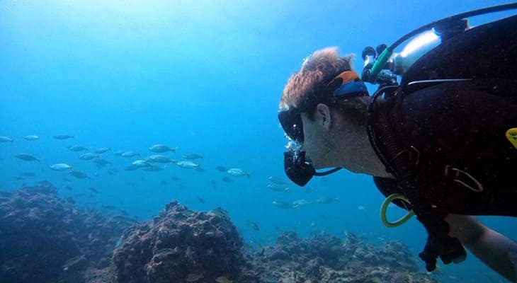 رحلة غطس مشتركة لمدة 5 ساعات في بولثامة ريف، بوعمامة، وشطايا في البحرين 