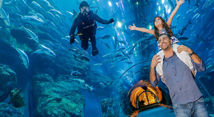 General Admission to Dubai Aquarium & Underwater Zoo