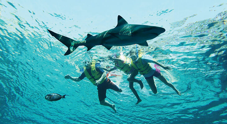 Atlantis Ultimate Snorkel Experience for 35 Mins