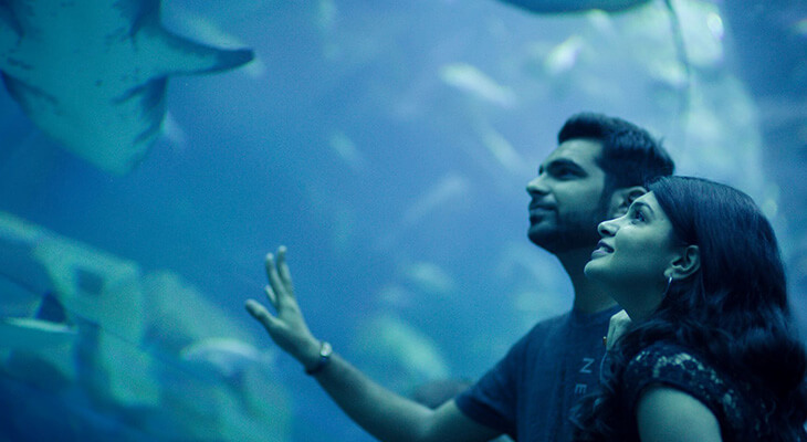 تذكرة دبي أكواريوم وحديقة الحيوانات المائية لمدة 4 ساعات