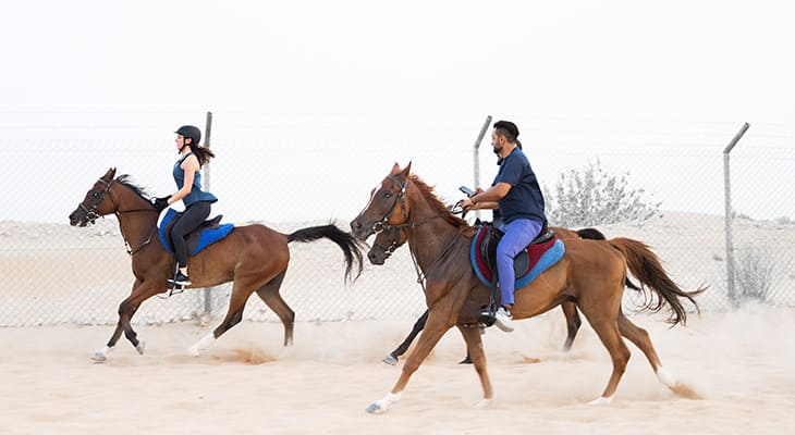 Dubai: 18% off on Horseback Riding Trip in Al Ruwayyah