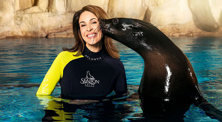 Playing Experience for one hour  with the Sea Lions in Atlantis Dubai 
