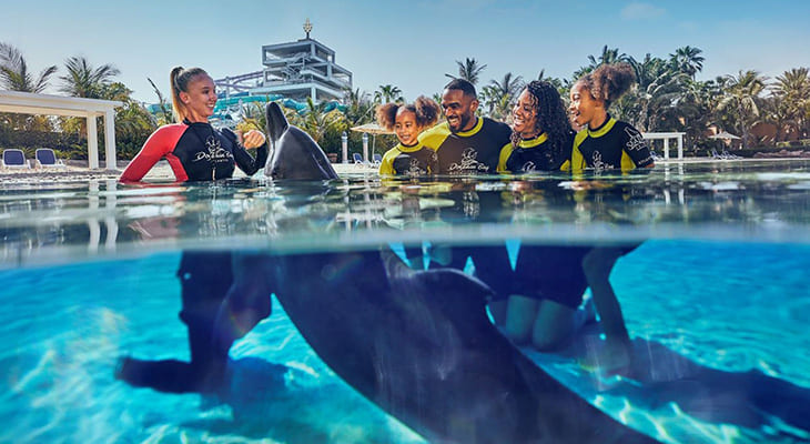 One Hour Tour at Dolphin Bay Lagoon