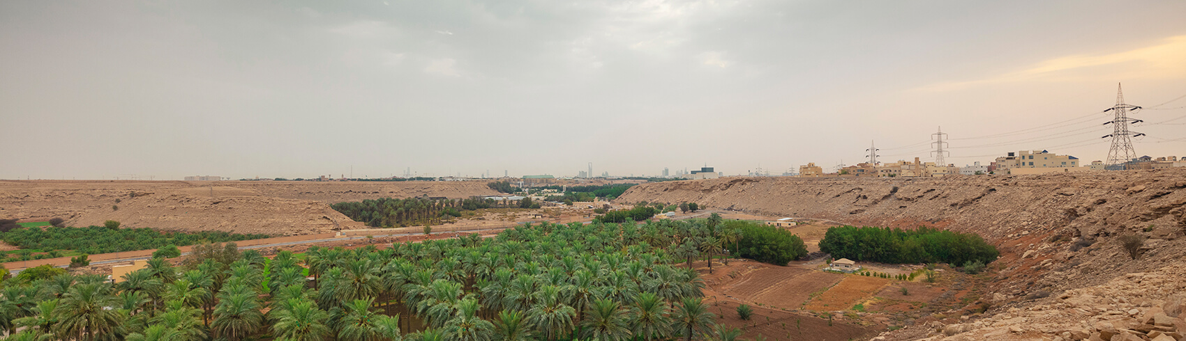 الأنشطة في منطقة القصيم