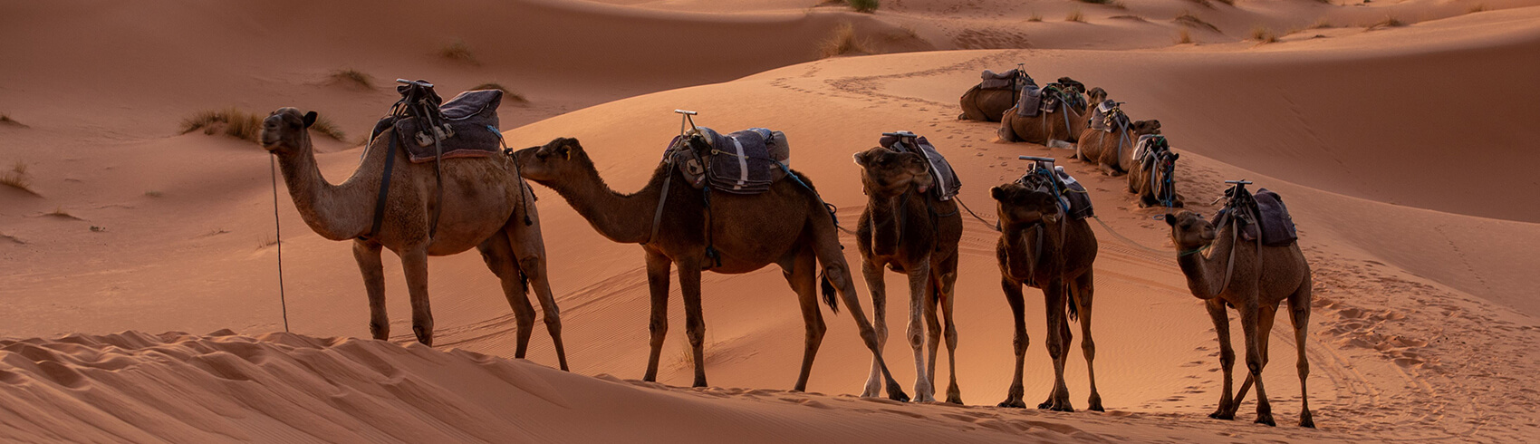 Camping in Ras Al Khaimah