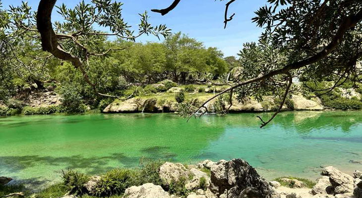 رحلة نصف يوم خاصة مدتها 5 ساعات في صلالة
