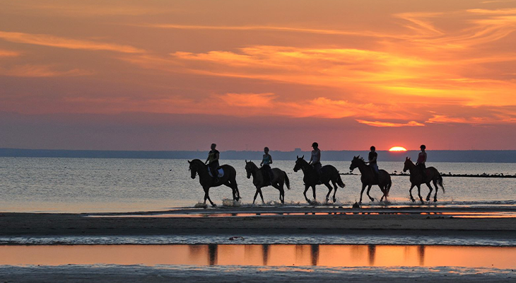 Beach Horse Riding Experience in Muscat