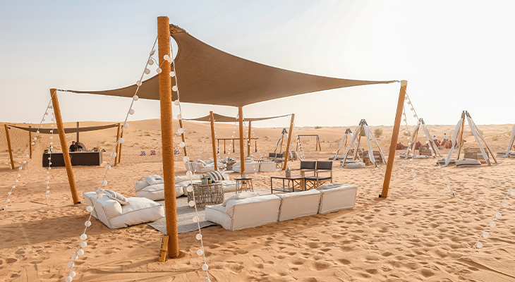 Desert Tour in Dubai with lunch and private chauffeur