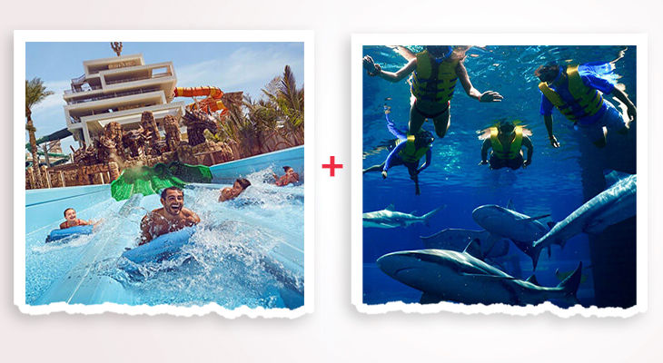 Snorkeling with Sharks Lagoon Beach + Free Access to Atlantis Aquaventure 