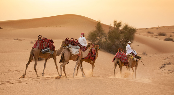 7-Hours Sunset camel safari and stargazing with BBQ at Al-Khayma camp in Dubai