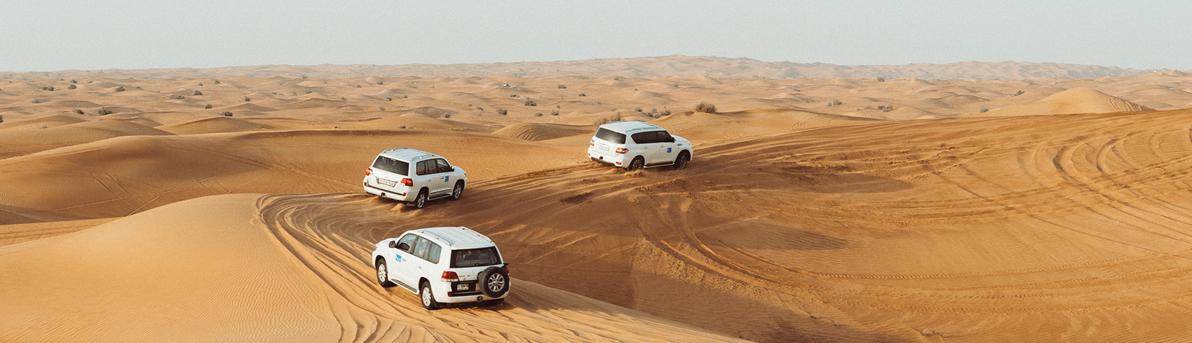 Desert Safari in Bahrain