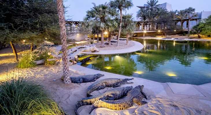 Adventure for 1.5 Hours General Admission to Dubai Crocodile Park