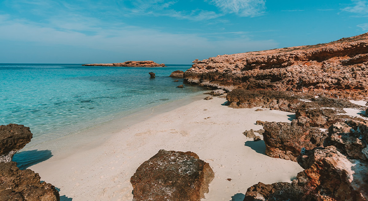 5-Hour Sharing Trip at Daymaniyat Island