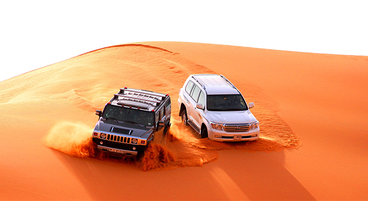Standard Evening Safari Tour for Only 96 AED 
