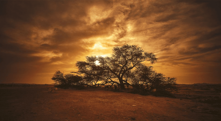 البحرين: جولة صحراوية لمدة نصف يوم