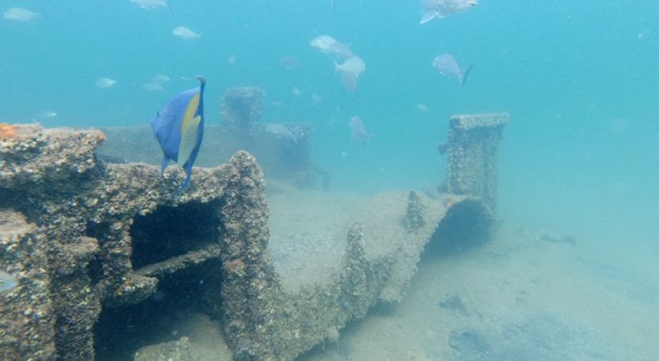 An opportunity to learn to dive in 5 days