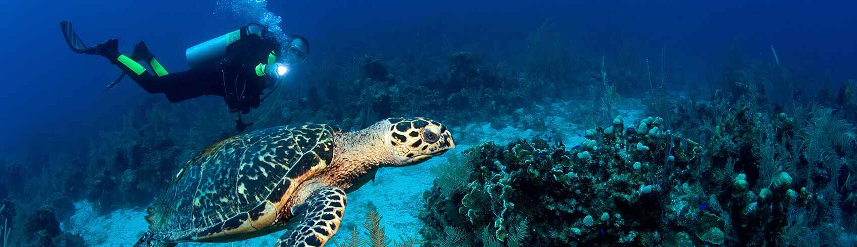 Water activities in Half Moon Beach
