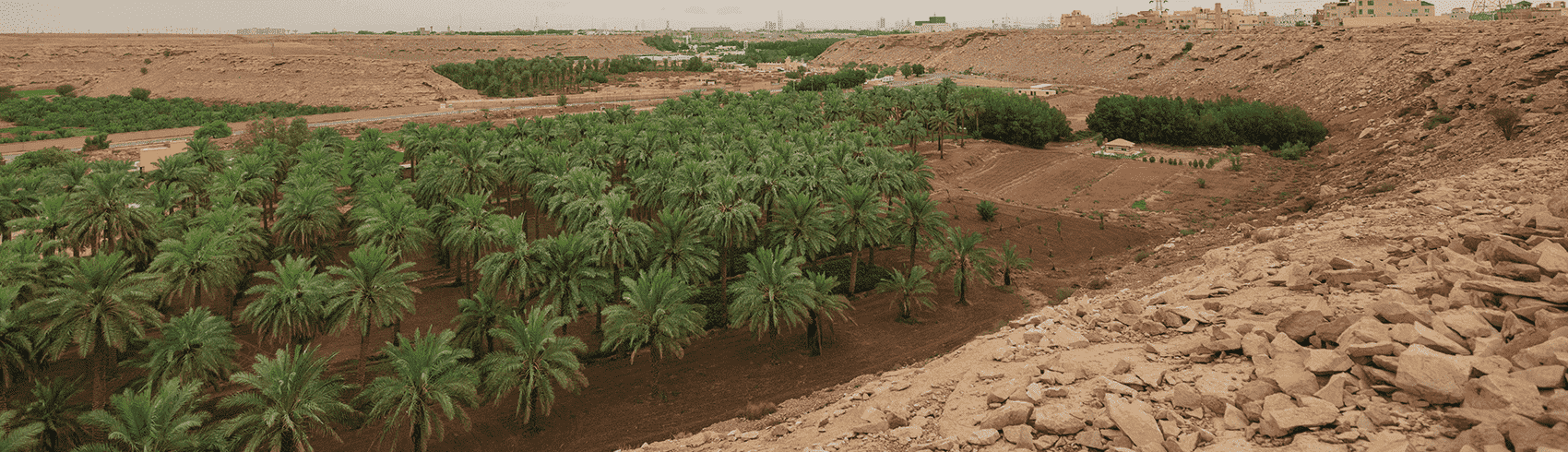 Things to do in Al Ahsa