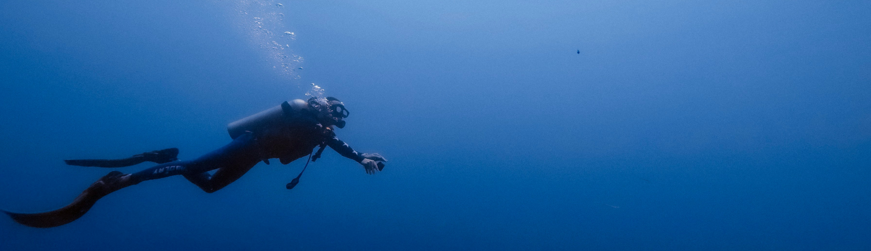 Diving in Bahrain