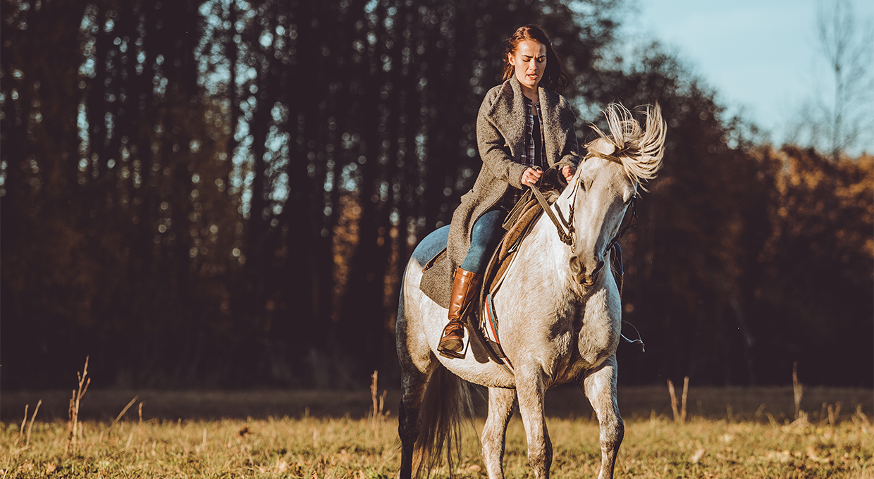 1 Hour Horse Riding in Karzakan Forest 